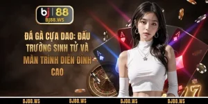 Đá Gà Cựa Dao